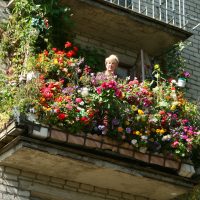 gražios gėlės balkone ant džemperių pavyzdžio nuotraukos