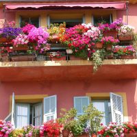 prašmatnios gėlės balkone ant džemperių pavyzdžio nuotraukos