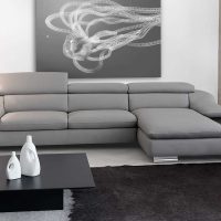 neįprasto gyvenamojo kambario dizaino su sofa nuotraukos versija