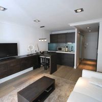 gražaus stiliaus apartamentų buto paveikslėlio variantas