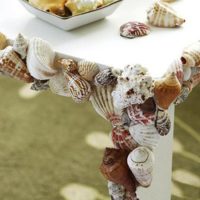 décor de coquillages sur la table