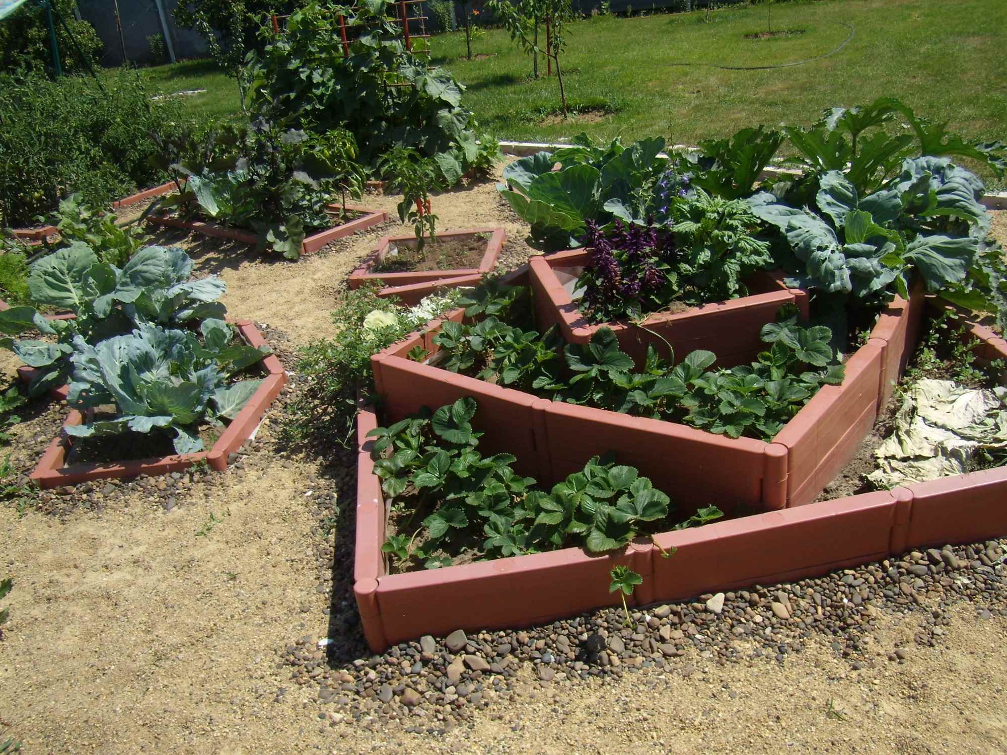 Un exemple d'un beau design de jardin dans une cour privée