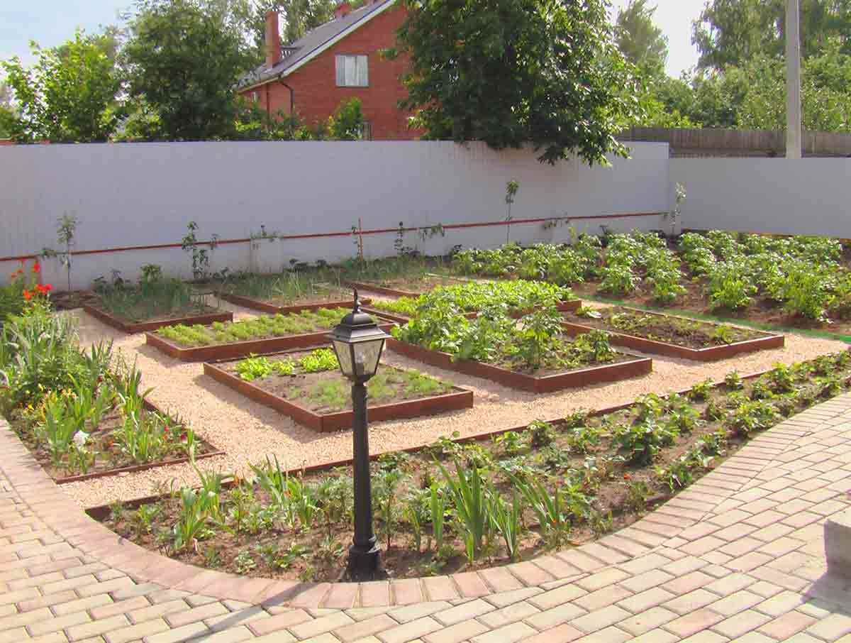 variante d'un beau décor du jardin à la campagne