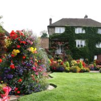 version du magnifique décor du jardin à la campagne photo