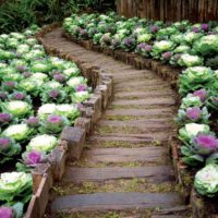 idée de décor inhabituel d'un jardin dans une cour privée