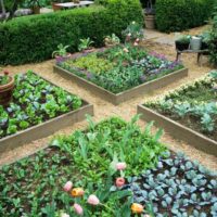 Un exemple de décor lumineux d'un jardin dans une maison de campagne photo