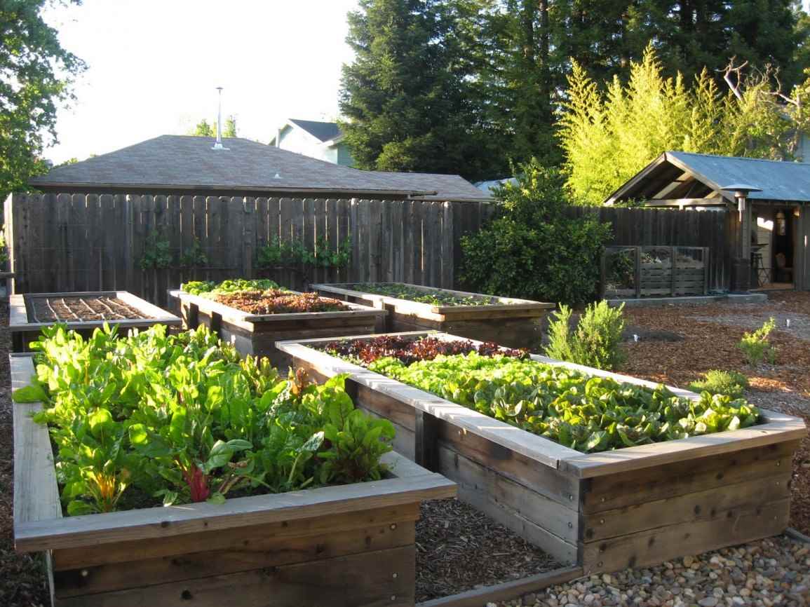 idée d'un décor lumineux d'un jardin dans une cour privée