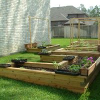 variante d'un beau décor de jardin dans une cour privée picture