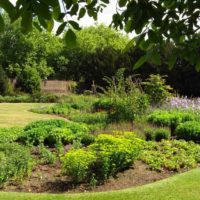 Un exemple d'une belle décoration de jardin dans une cour privée