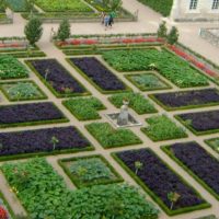 Un exemple d'un beau design de jardin dans une photo de cour privée