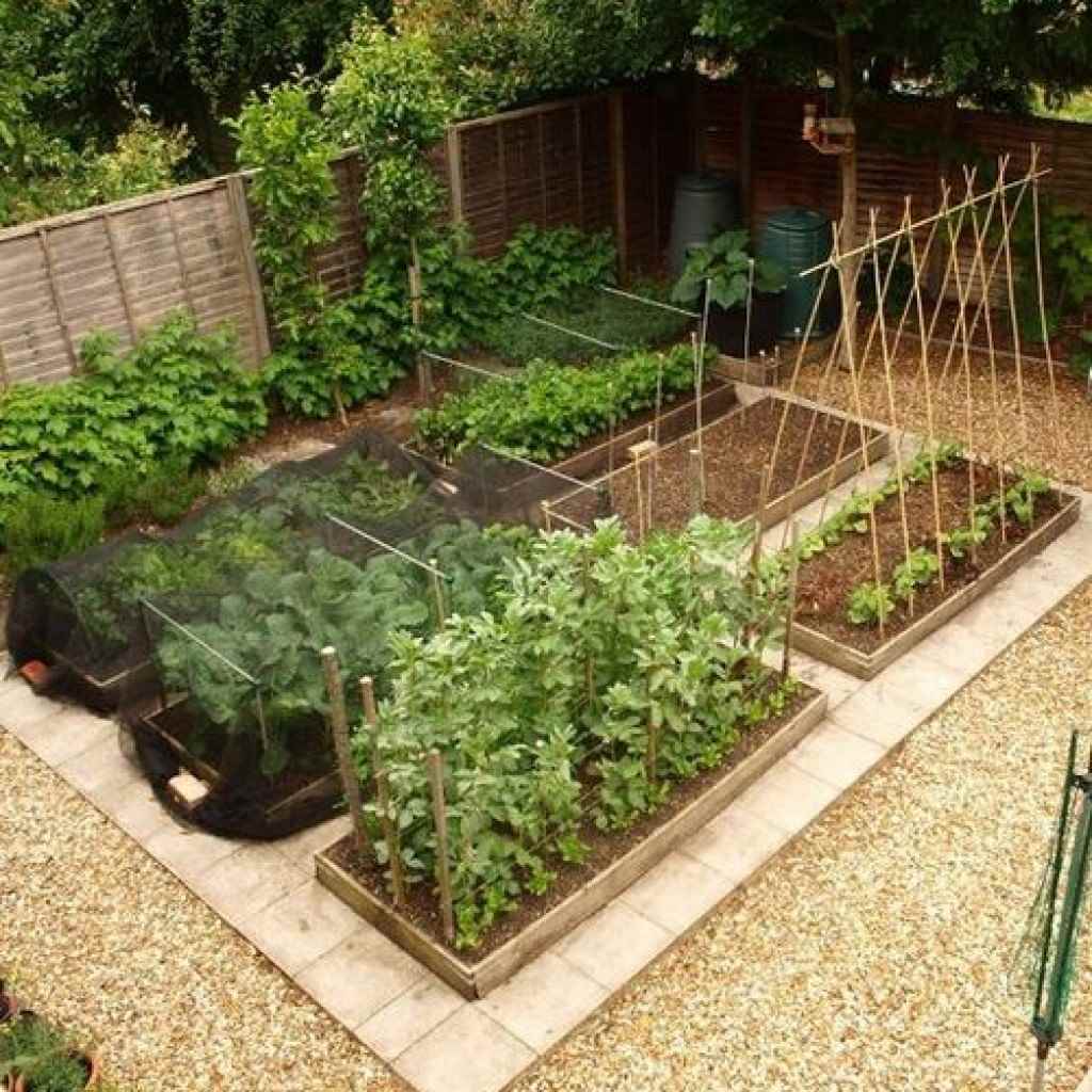 Un exemple d'un beau décor d'un jardin dans une maison de campagne