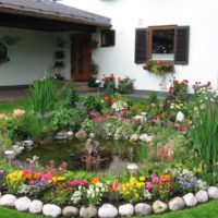 Parterre de fleurs vivaces en fleurs autour d'un étang