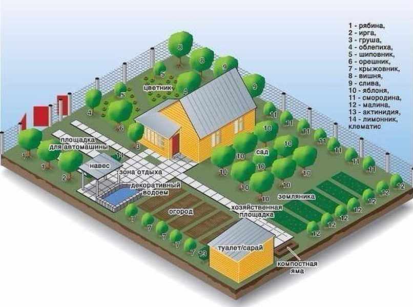 Asmeninio sklypo sodinimo planas-schema