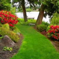 Une étroite bande de pelouse verte sur la pente du jardin