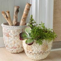 Décor de pots à coquillages