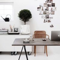 Photos sur le mur blanc du bureau